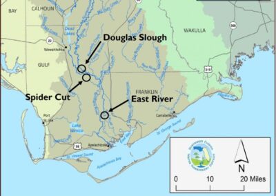 Current restoration sites for the overall Apalachicola River Slough Restoration Project